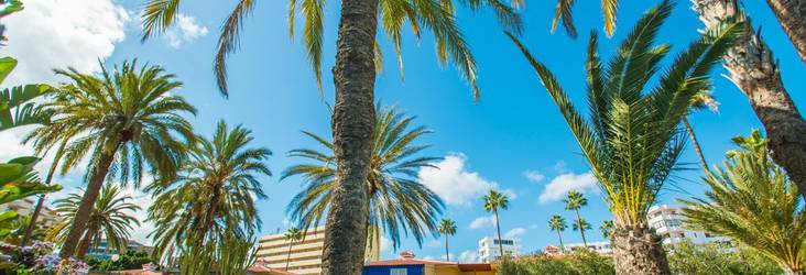 JARDINES Hotel HL Miraflor Suites**** Gran Canaria